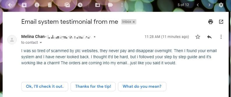 Email profit system testimonial